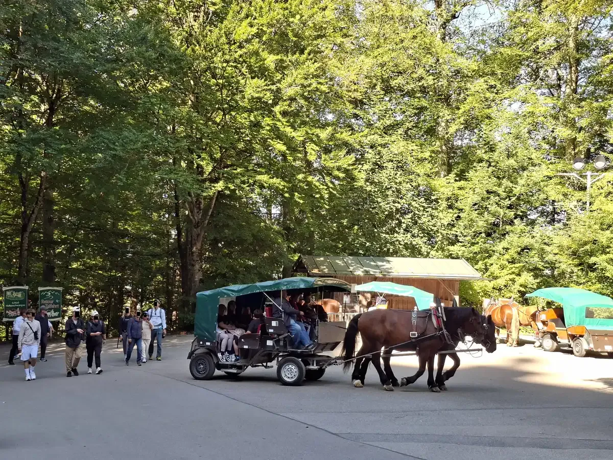 A horse-drawn carriage on the road up to the castle on a Neuschwanstein castle tour from Munich, Bavaria